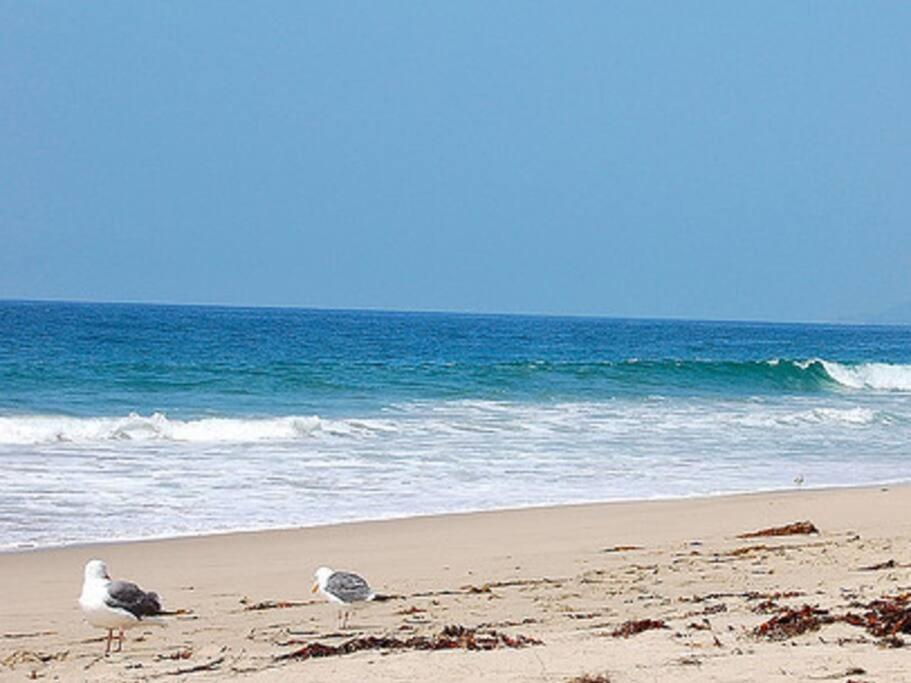 30 Pct Off!! Limited Time! Malibu Charming Getaway With King Bed, Near Beach Buitenkant foto