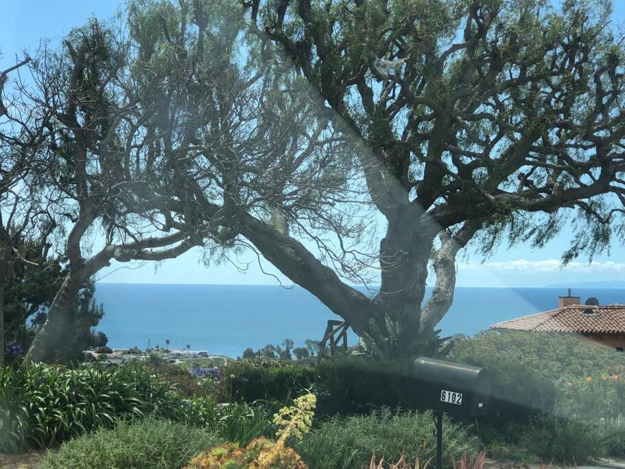 30 Pct Off!! Limited Time! Malibu Charming Getaway With King Bed, Near Beach Buitenkant foto