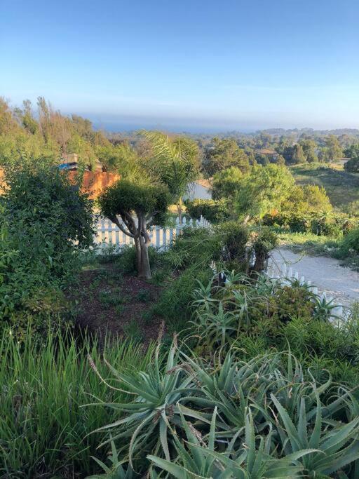 30 Pct Off!! Limited Time! Malibu Charming Getaway With King Bed, Near Beach Buitenkant foto